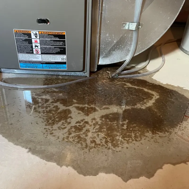 Appliance Leak Cleanup in Beechwood Village, KY