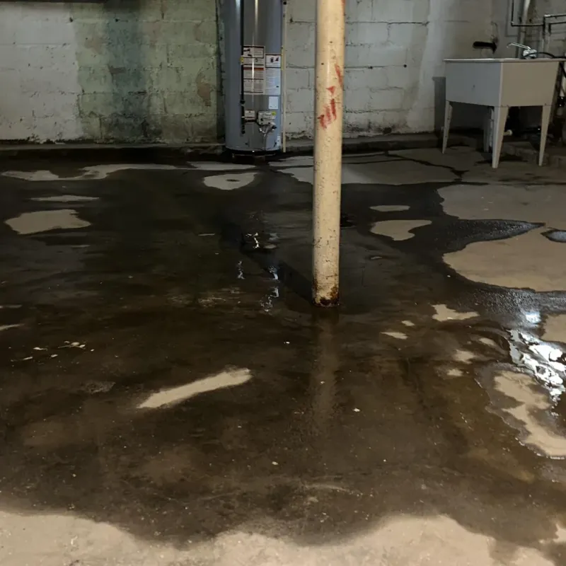 Emergency Water Extraction And Removal in Beechwood Village, KY